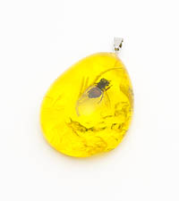 ����� � ������� �����. 8746062��