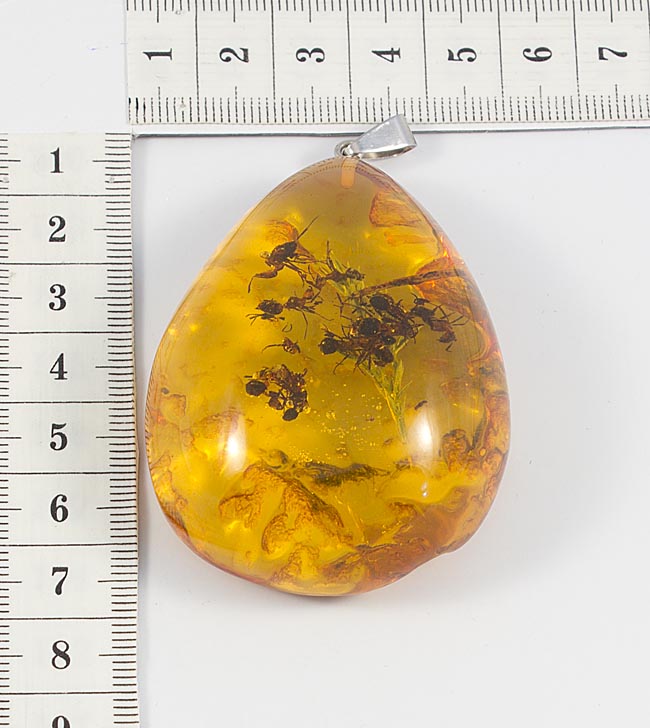 ����� � ������� �������. 8746063 ��