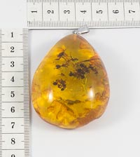 ����� � ������� �������. 8746063 ��